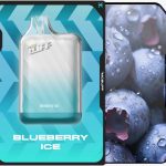 پاد یک بار مصرف  بلوبری یخ 10000 پاف | MCBUFF DISPOSABLE BLUEBERRY ICE 10000 PUFF