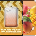 پاد یک بار مصرف  هندوانه هلو انبه 10000 پاف | MCBUFF DISPOSABLE MANGO PEACH WATERMELON 10000 PUFF