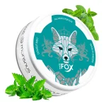 کیسه نیکوتین نعنا وایت فاکس | White Fox Double mint Bag