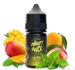 سالت انبه نعنا Nasty Green Mango FAT BOY