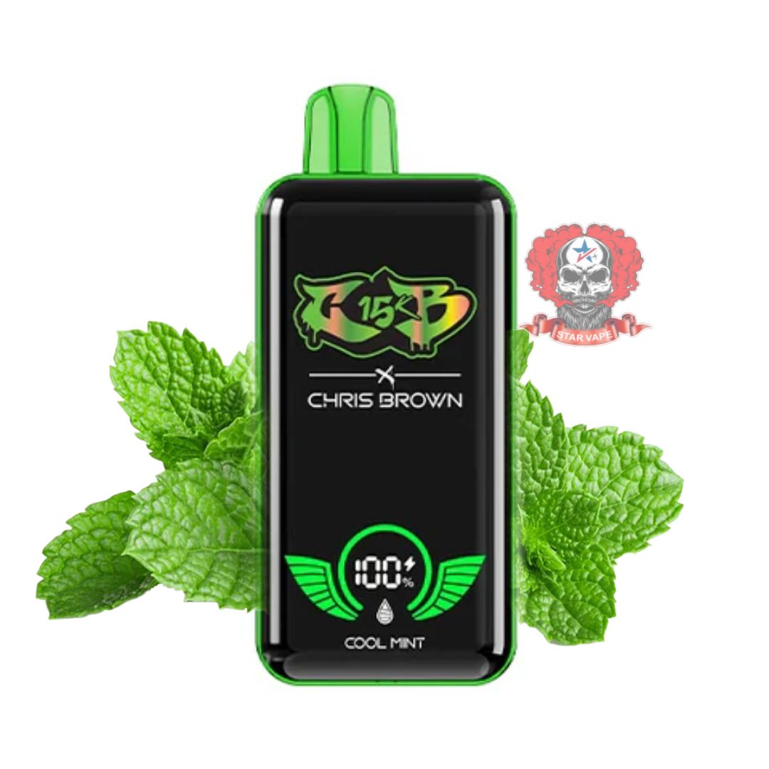 Picsart_26-02-25_12-31-45-018.jpg یکبار مصرف نعنا خنک 15Kپاف | CHRIS BROWN NEW COOL MINT 15K PUFF - Image 1