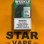 یکبار مصرف نعنا رزبری 20Kپاف | VISHBAR RASPBERRY MINT 20K PUFF